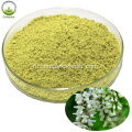 Лучшие продукты Sophora Japonica Extract Powder